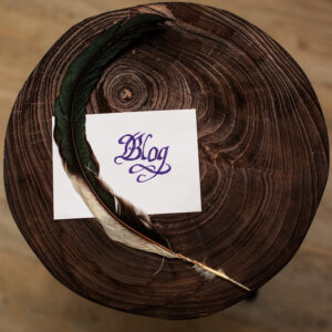 blog stefanie knecht